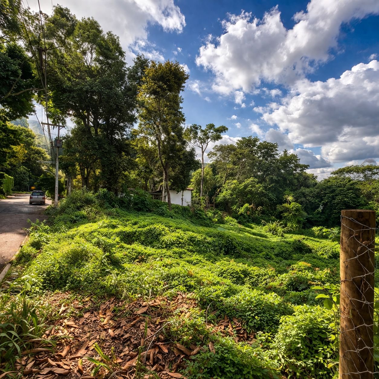 Lote Plano com Projeto Aprovado no Retiro do Chalé