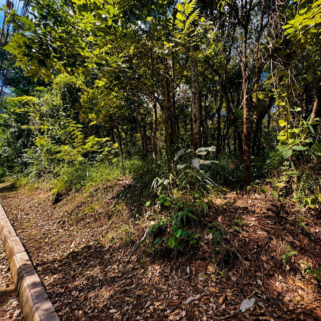 Lote 3 — Retiro do Chalé