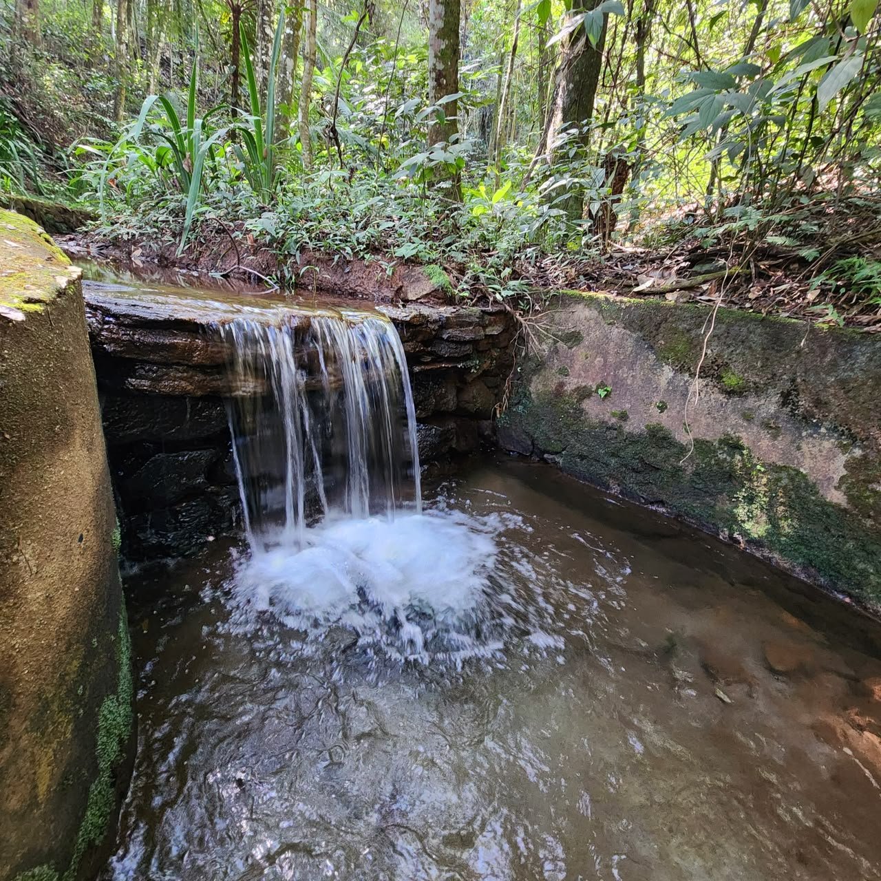 Residência Cachoeira